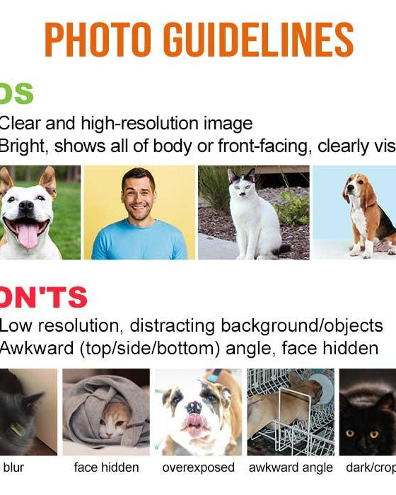 Personalized DOG/CAT MOM T-Shirt With Your Pet’s Photo and Name - Young Trendz