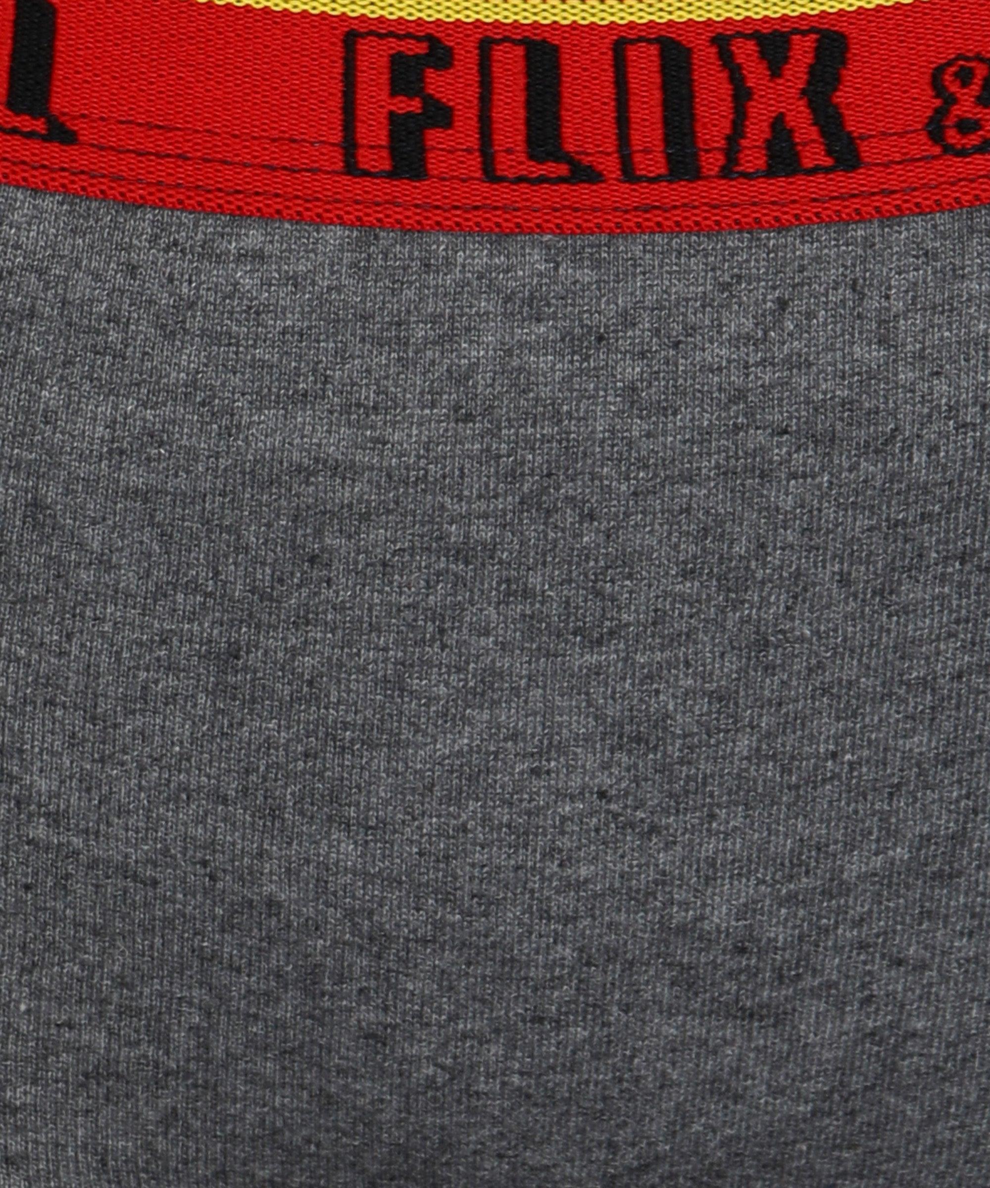 Womens Non Padded FLIXCHILL Combo Boys Shorts Grey Melange (Pack of 3) - Young Trendz