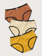 Premium Imported Underwear - Women Pack Of 3 Briefs - Young Trendz