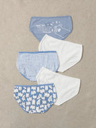 Premium Imported Underwear - Women Pack Of 4 Briefs - Young Trendz