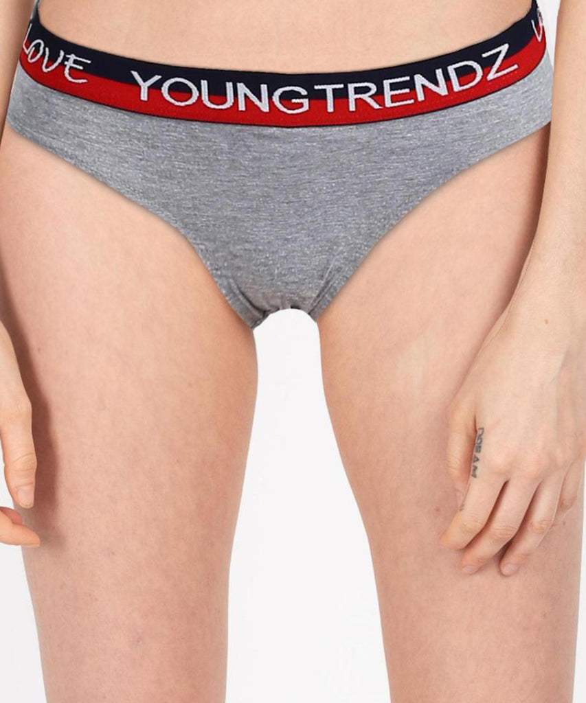 Girls Multicolours Hipster Grey colour Panty - Young Trendz